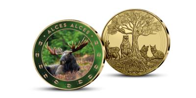 Kollektsioon „Aasta loom”, esimene medal „Siil”