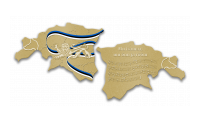 Kullatud medal „Mu isamaa“