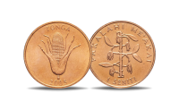 Lauakalender „Õnnetoovad mündid 2023“11
