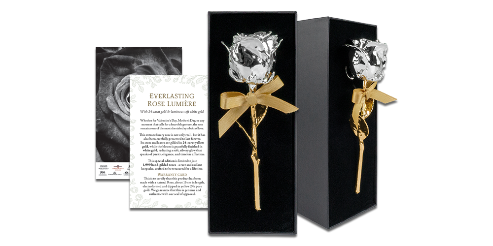 Ehtne roos, kaetud kollase ja valge kullaga