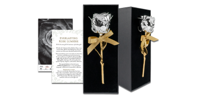 Ehtne roos, kaetud kollase ja valge kullaga