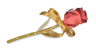 Tõeline roos, kaetud kulla ja ehtsa rubiinitolmuga